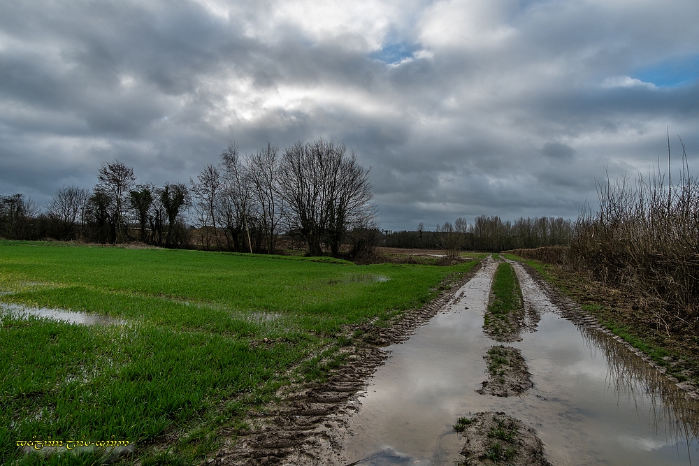 suivi des pluies